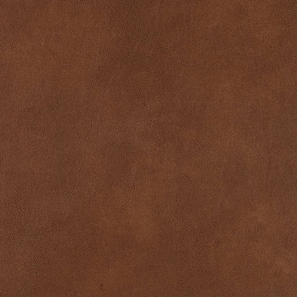 Statement 4 Seater XL Sofa