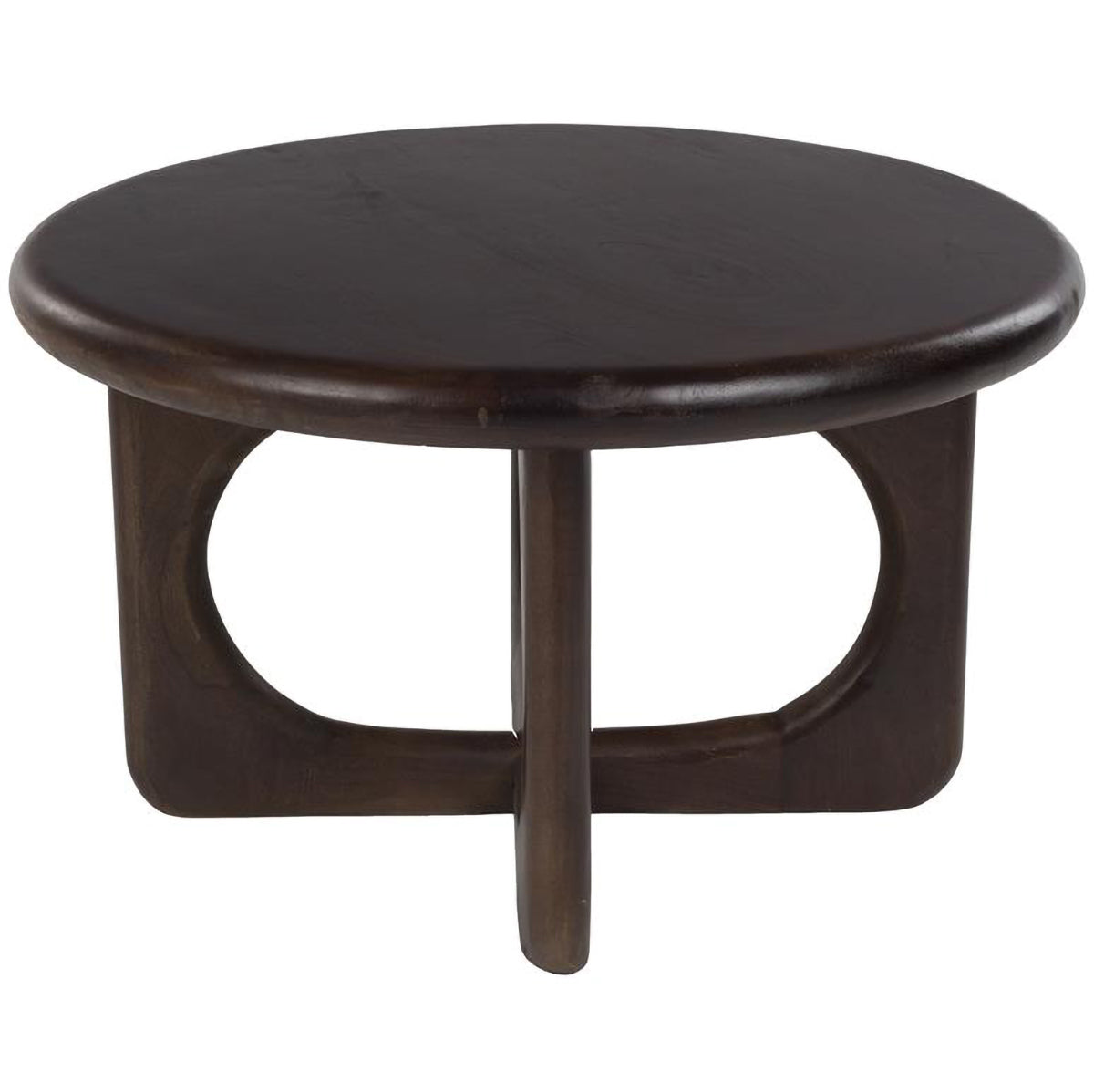 Jani Mango Wood Coffee Table