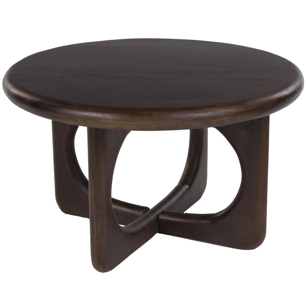 Jani Mango Wood Coffee Table