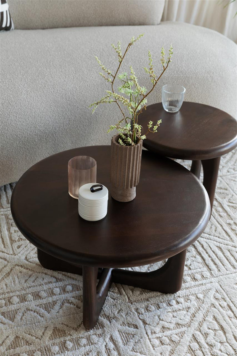 Jani Mango Wood Coffee Table