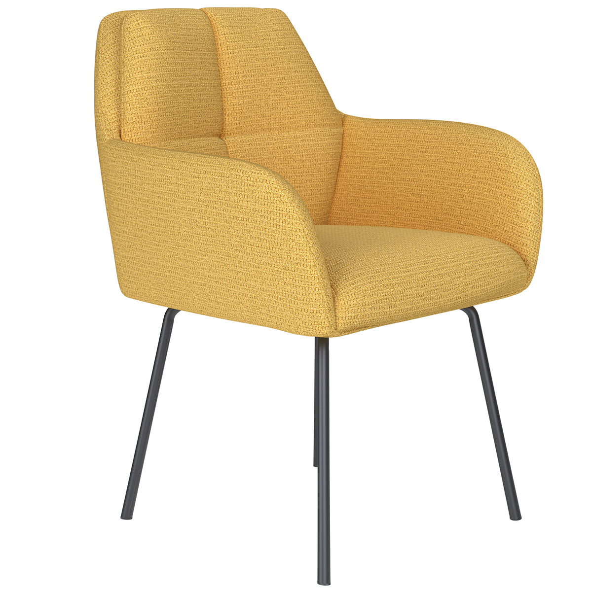 Pete Metal Legs Chair