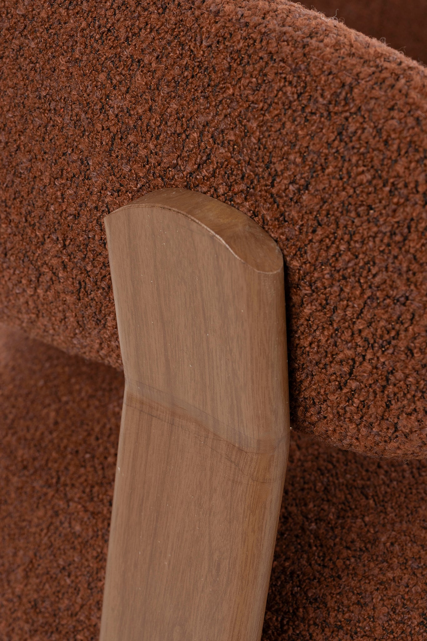 Robyn Brown Lounge Chair