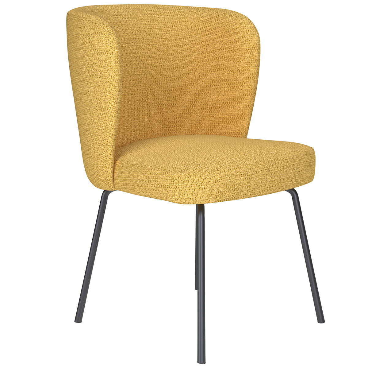 Stan Metal Legs Chair