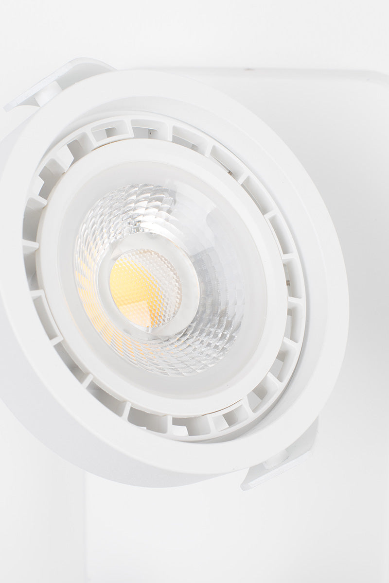Dice-2 DTW Spotlight