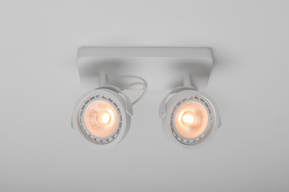 Dice-2 DTW Spotlight