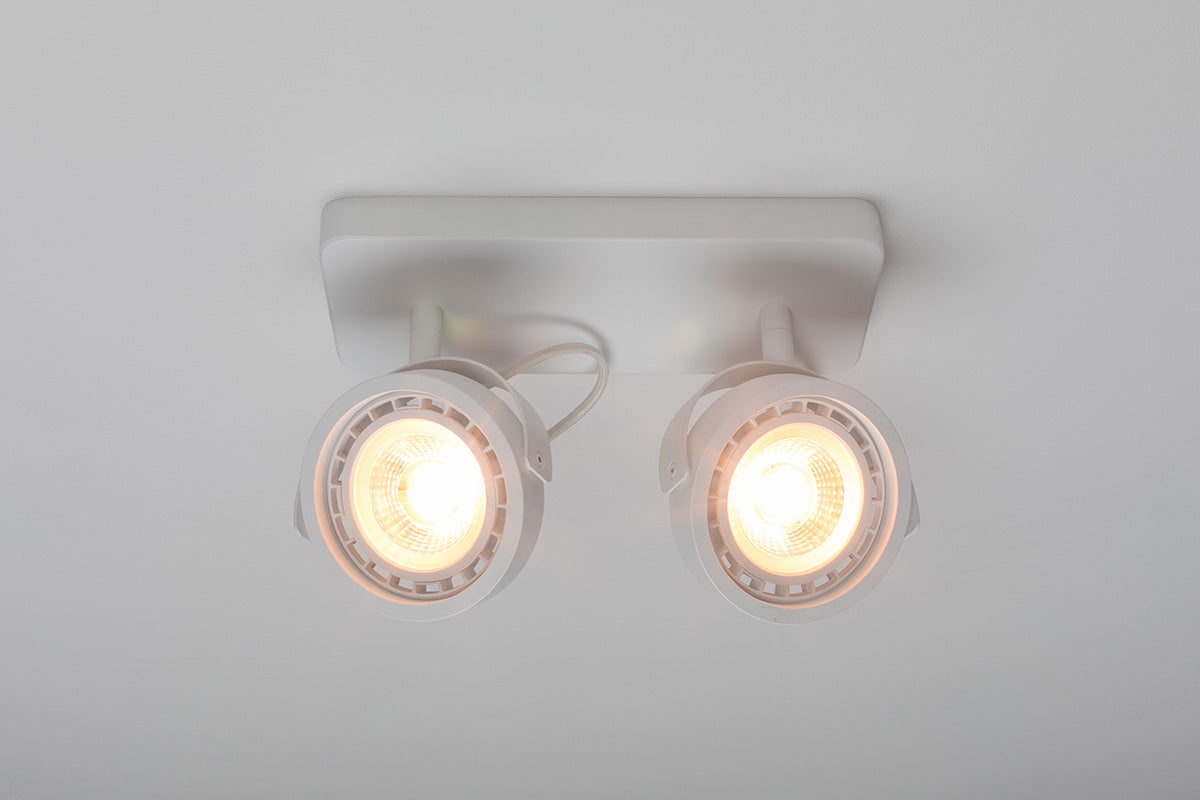 Dice-2 DTW Spotlight