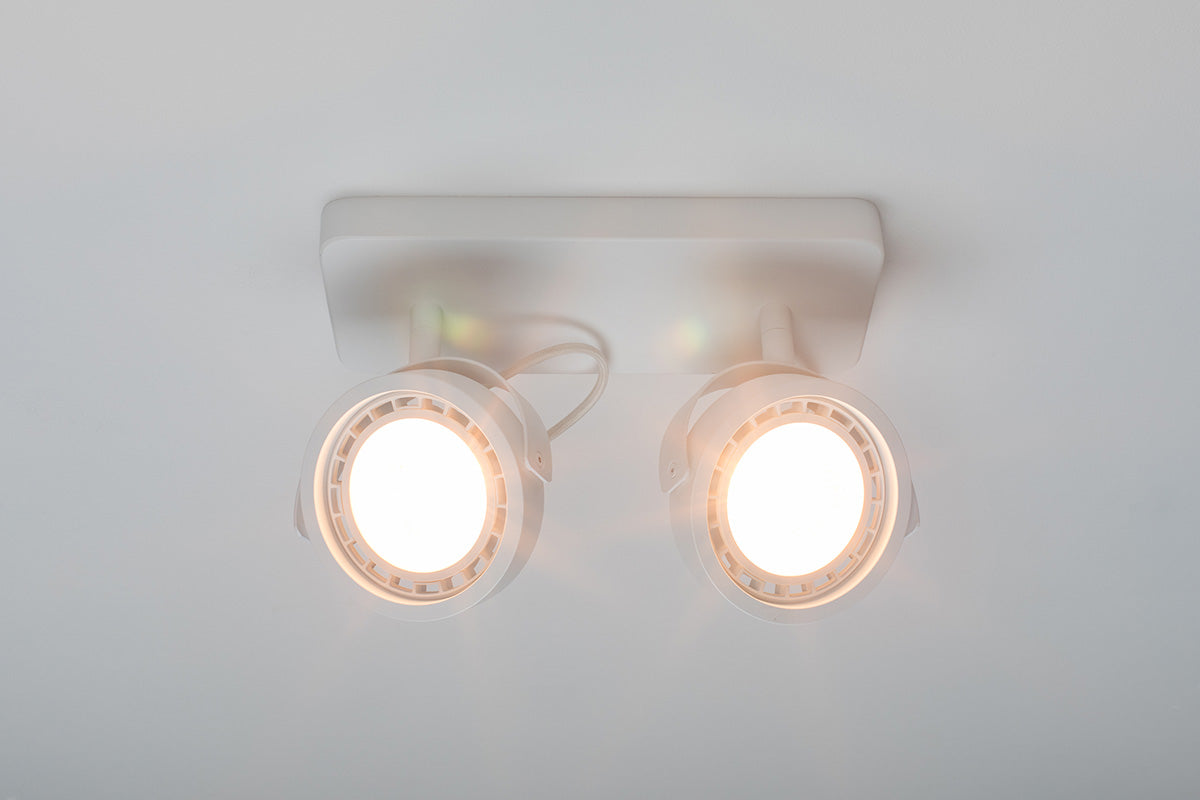 Dice-2 DTW Spotlight