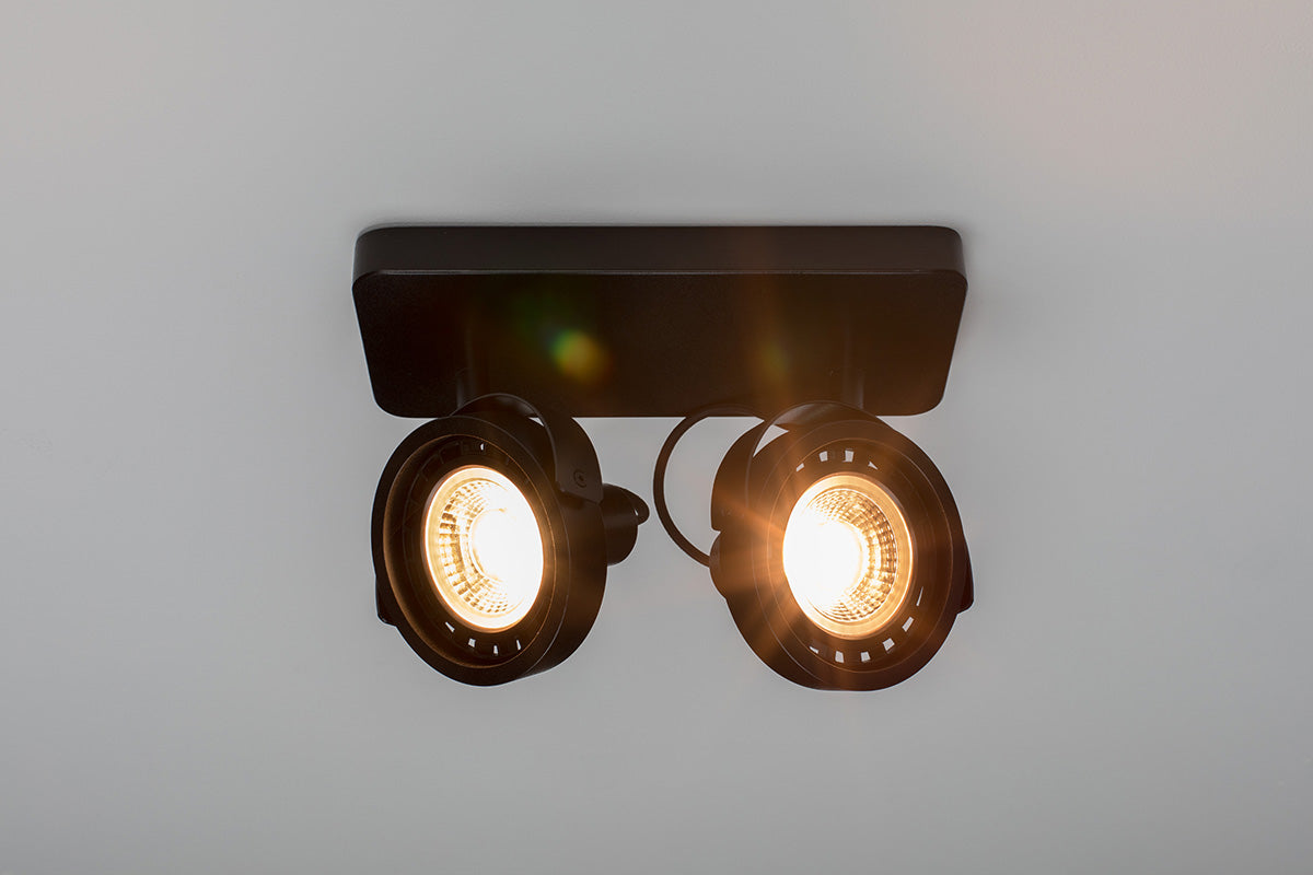 Dice-2 DTW Spotlight