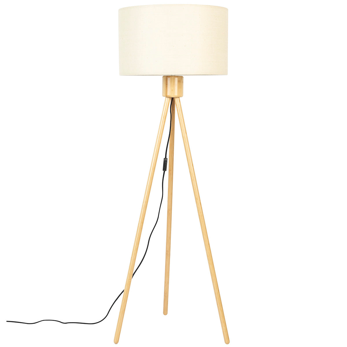 Fan Floor Lamp