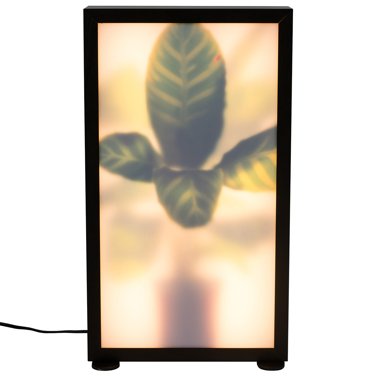 Grow M Floor Lamp
