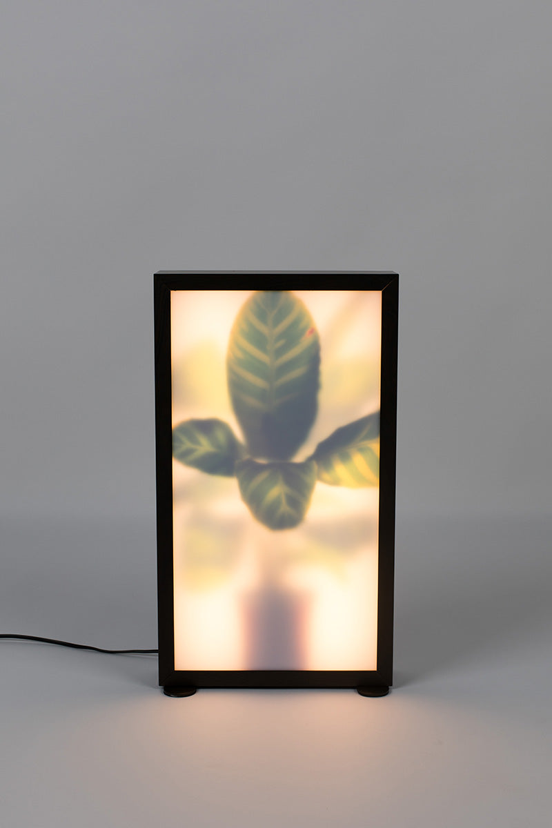Grow M Floor Lamp