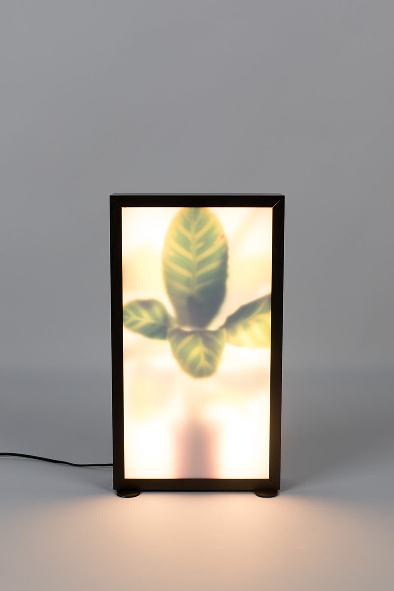 Grow M Floor Lamp