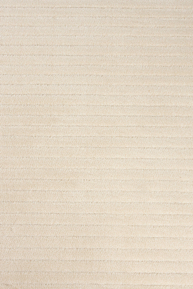 Shore Carpet