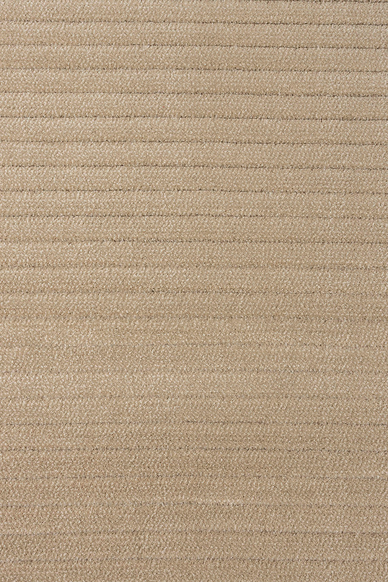 Shore Carpet