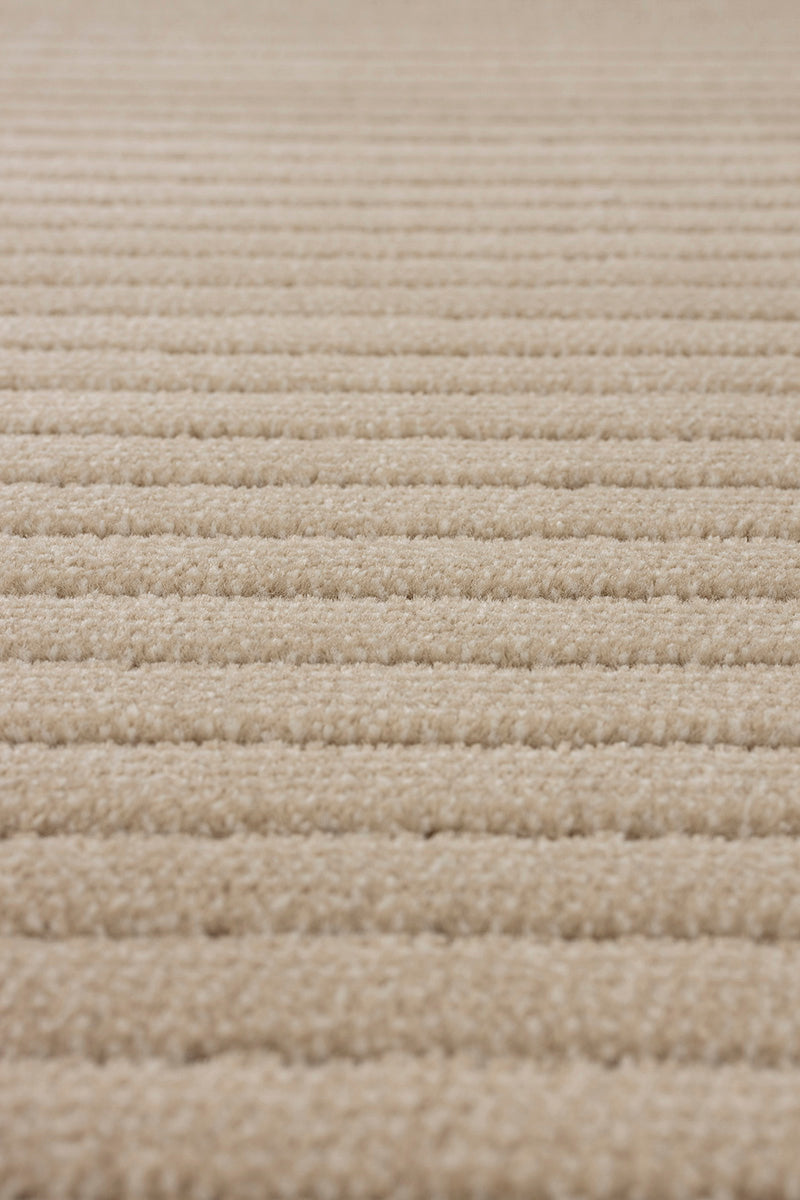 Shore Carpet