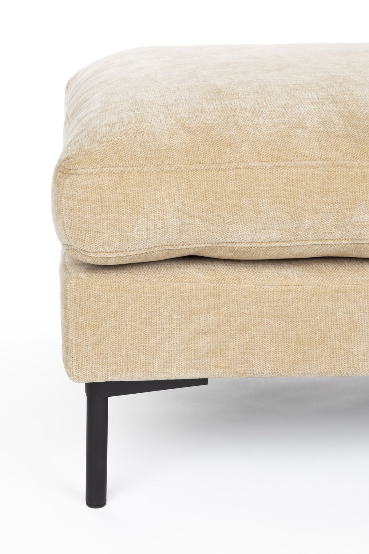 Summer Hocker