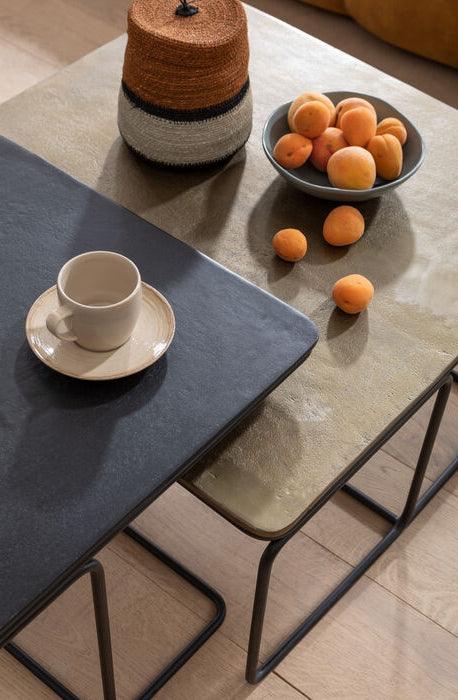 Diego Metal Coffee Table (2/Set) - WOO .Design