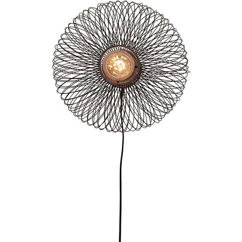 Cango Ellipse Wall Lamp