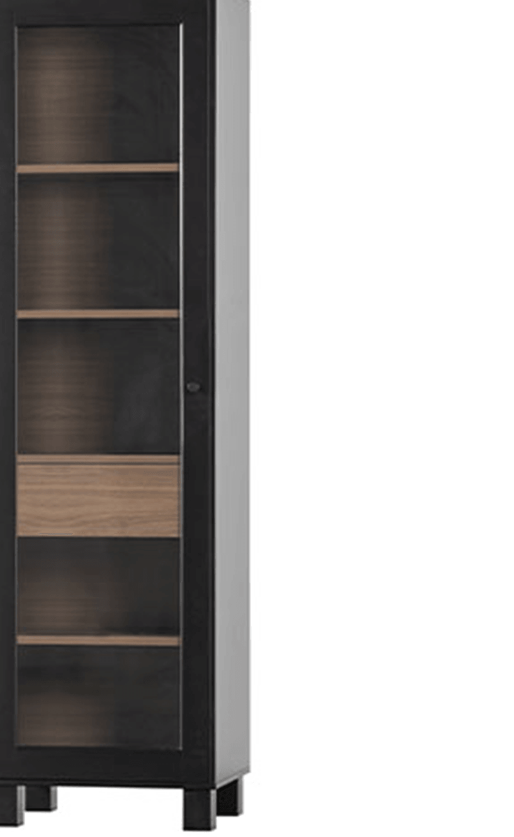 Goos Black/Walnut Pine 1 Doors Cabinet - WOO .Design
