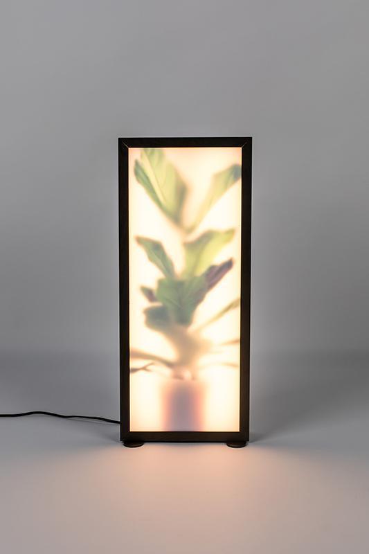 Grow L Floor Lamp - WOO .Design