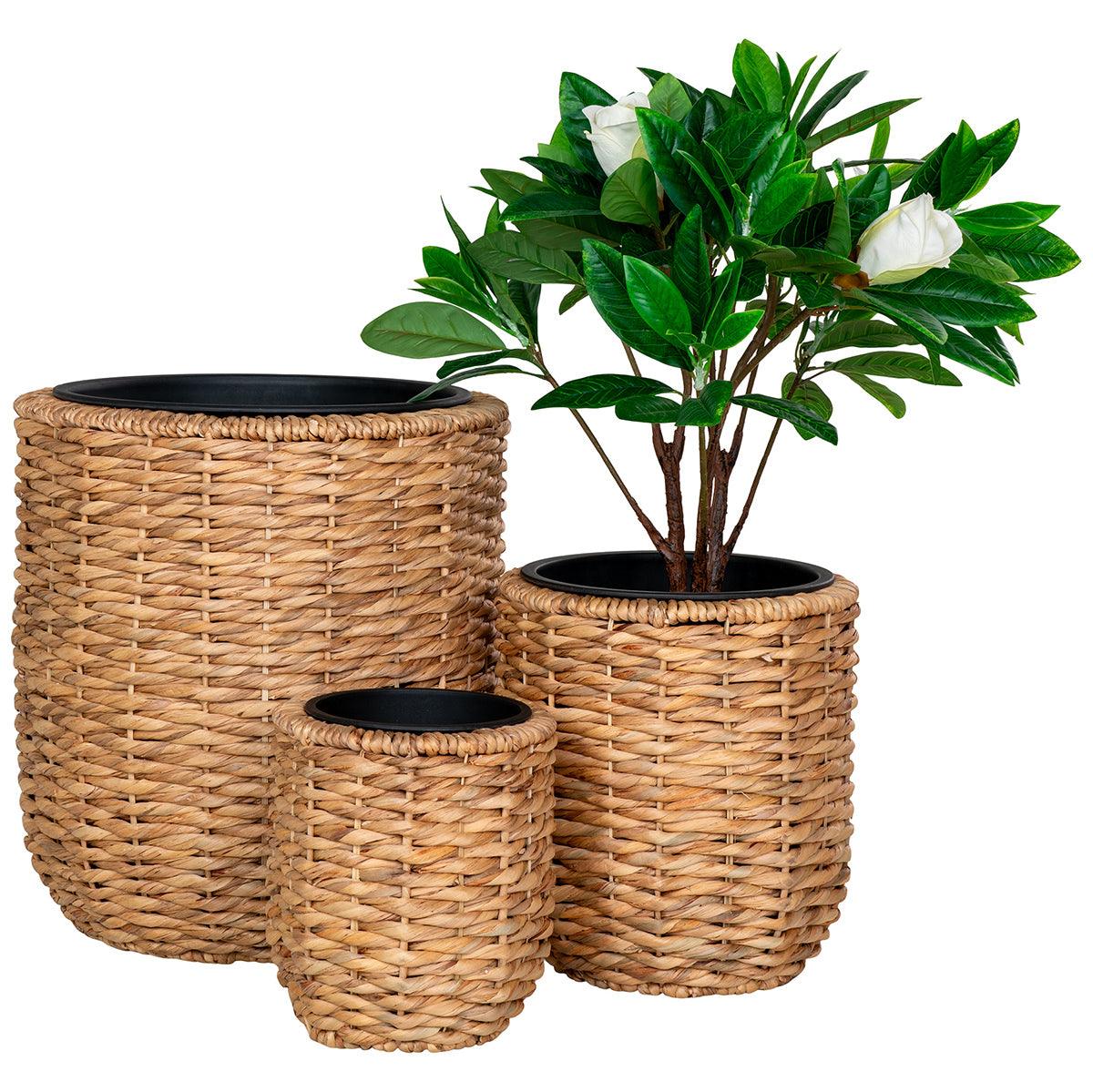 Hanoi Natural Water Hyacinth Planter (3/Set) - WOO .Design