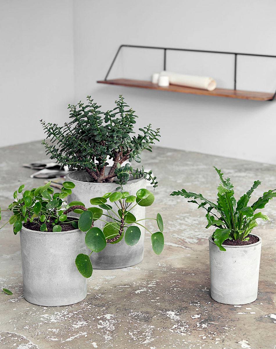 Ave Light Grey Planter (3/Set)