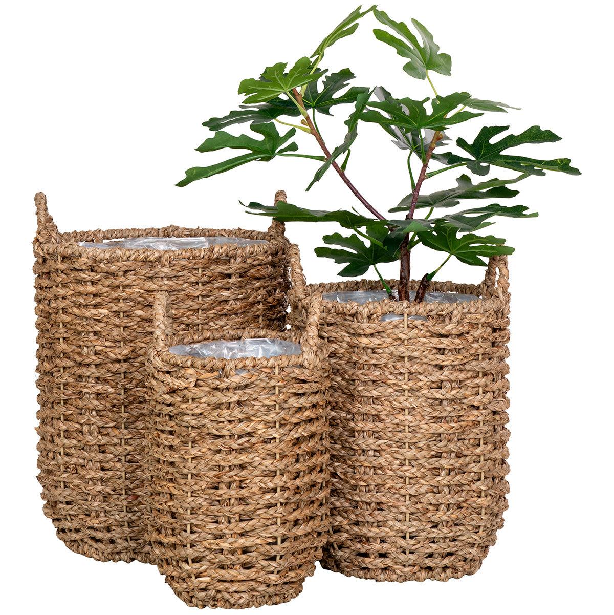 Hue Seagrass Planter (3/Set) - WOO .Design