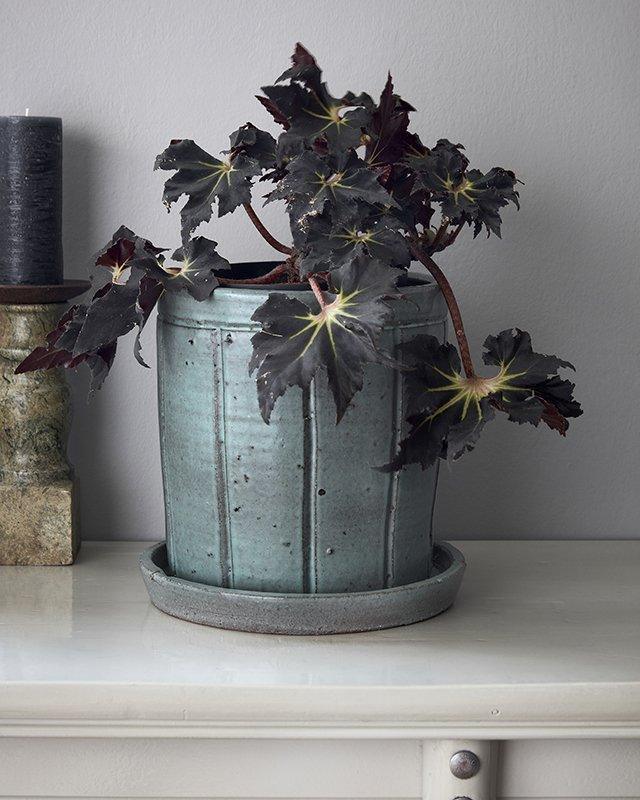 Julian Planter with Tray - WOO .Design