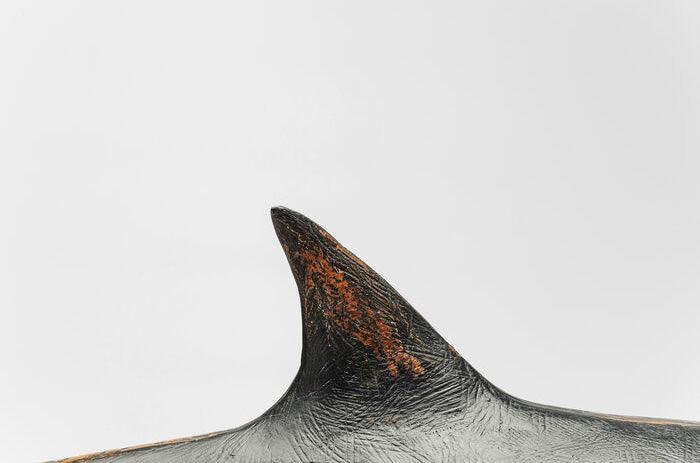 Shark Base Deco Figurine