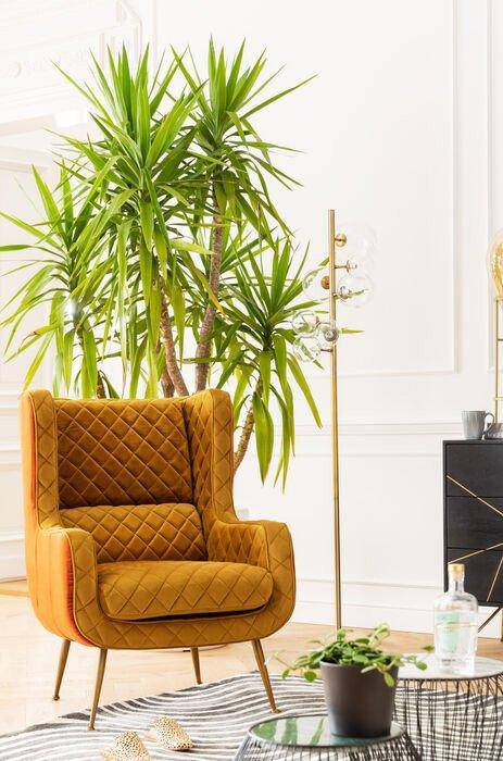 Noona Curry Diamond Stitiching Armchair