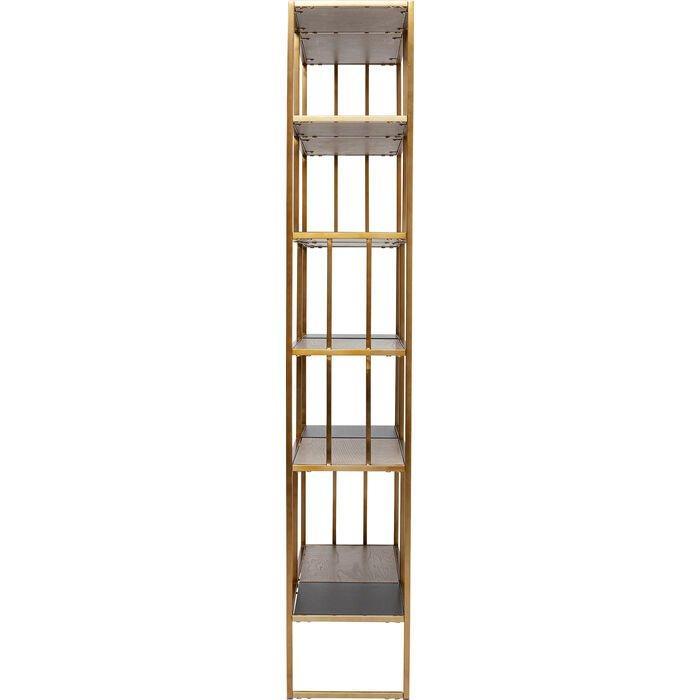Cesaro Shelf