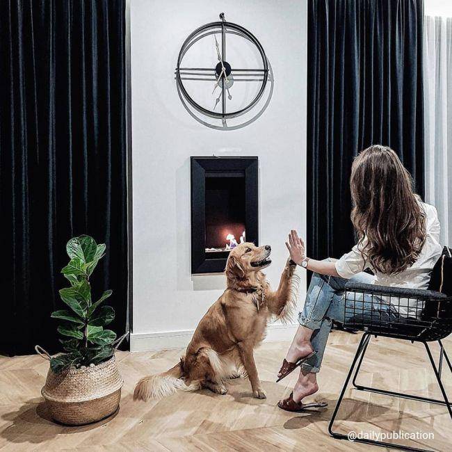 Charlie 2 Bio Fireplace