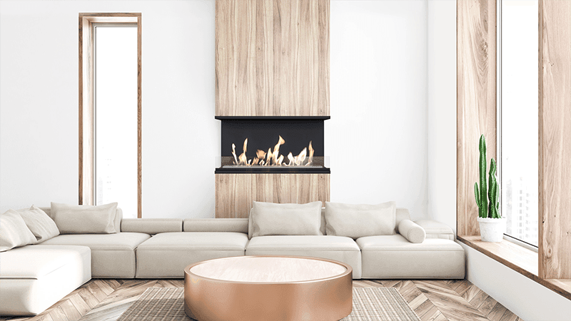 X-Ray Bio Fireplace