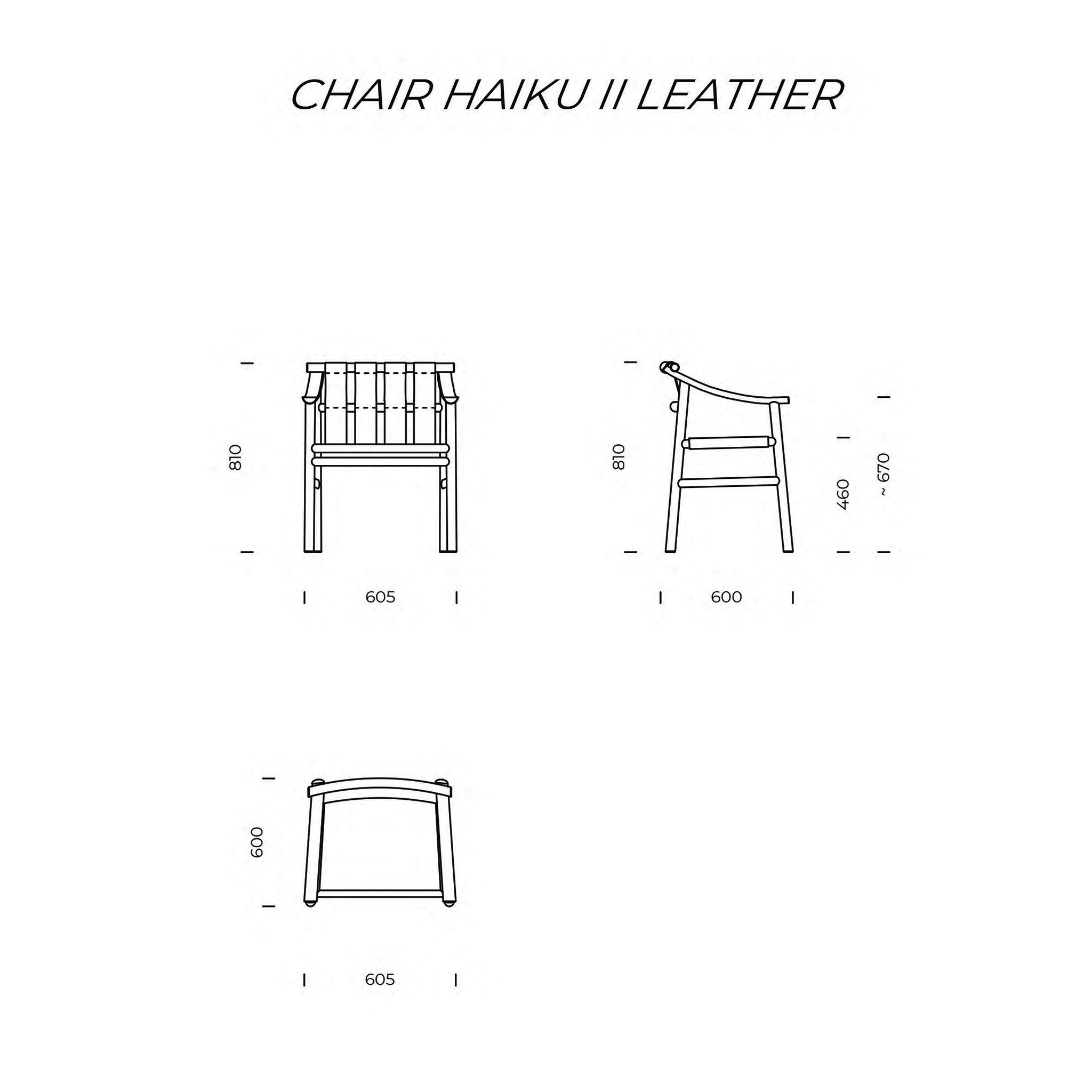 Haiku II Leather Chair with Armrests