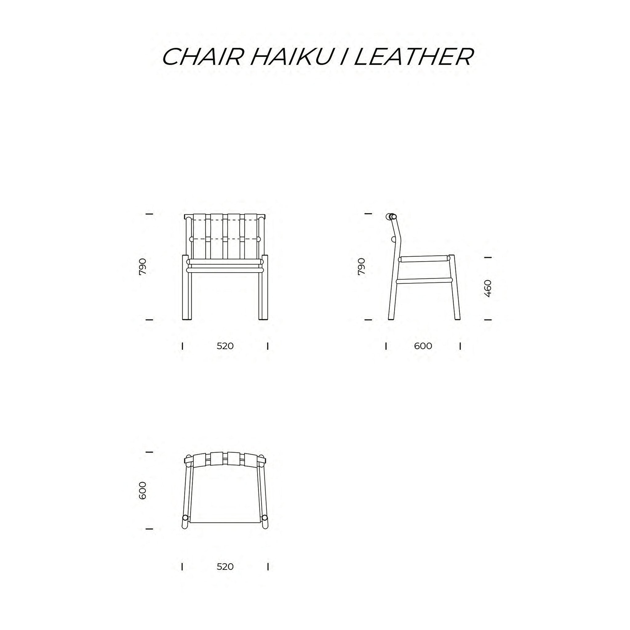 Haiku I Leather Chair