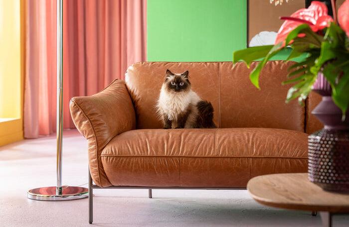 Napa Brown Leather Sofa - WOO .Design