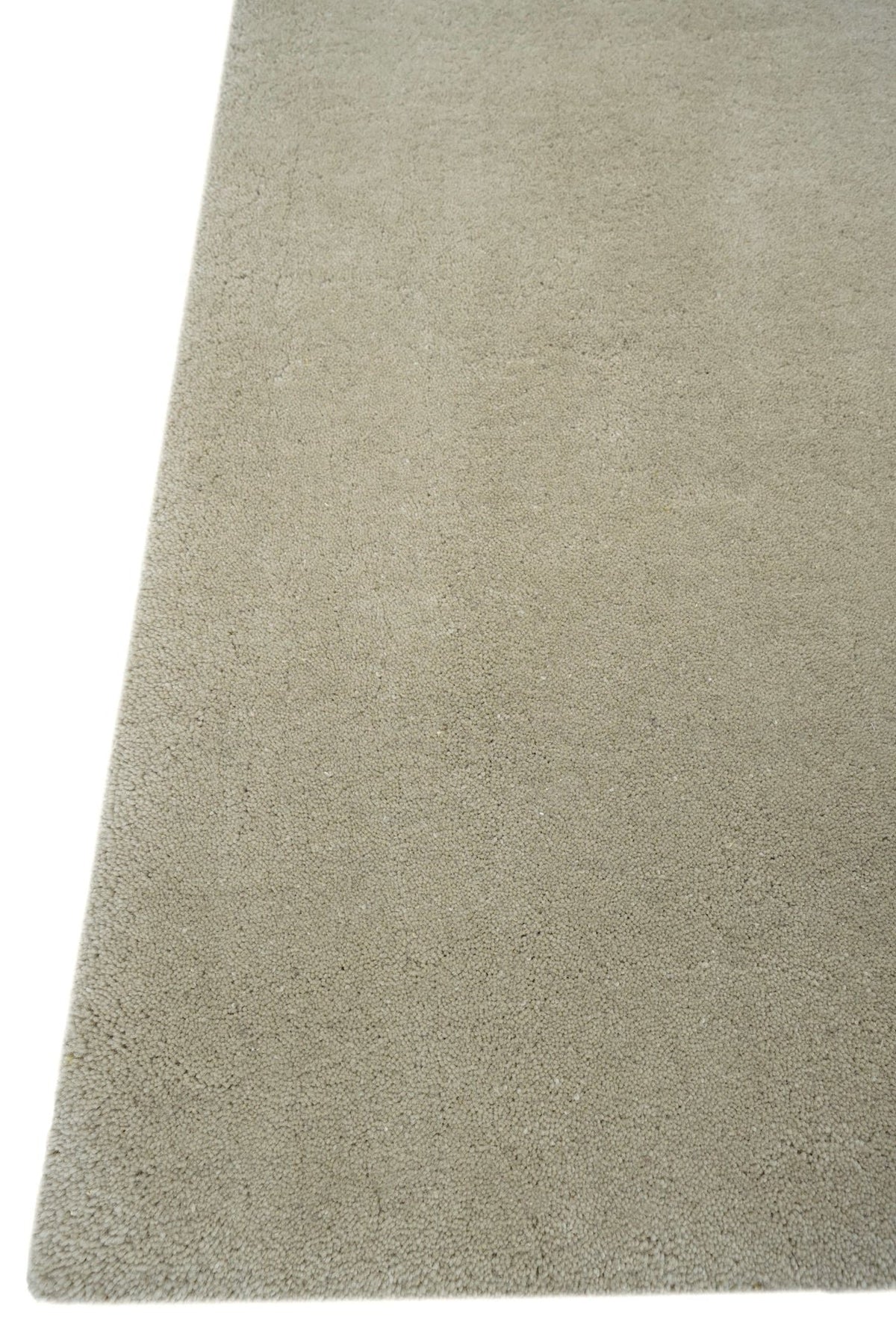 Nobile Carpet