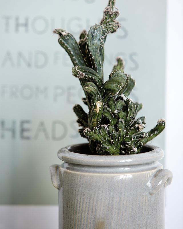 Pottery Planter - WOO .Design