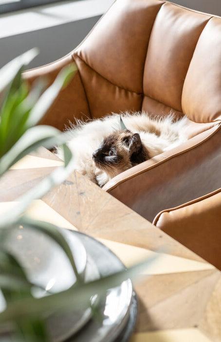 Thinktank Brown Chair with Armrest - WOO .Design