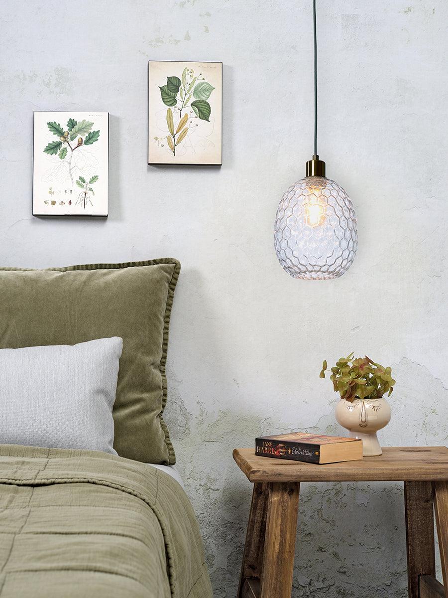 Venice Oval Glass Hanging Lamp - WOO .Design