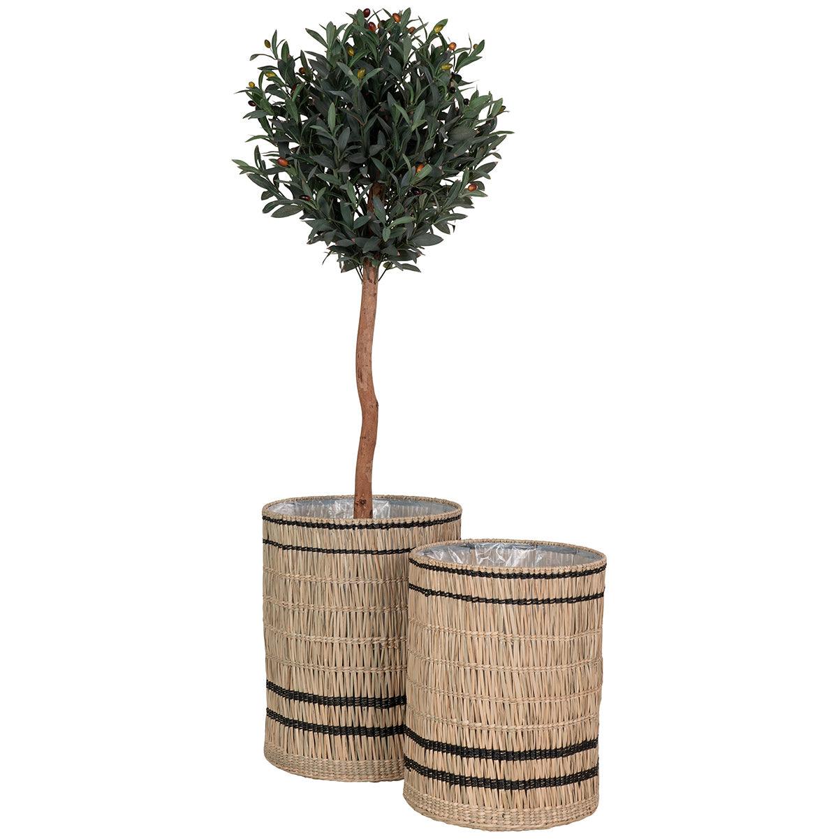 Vinh Seagrass Planter (2/Set) - WOO .Design