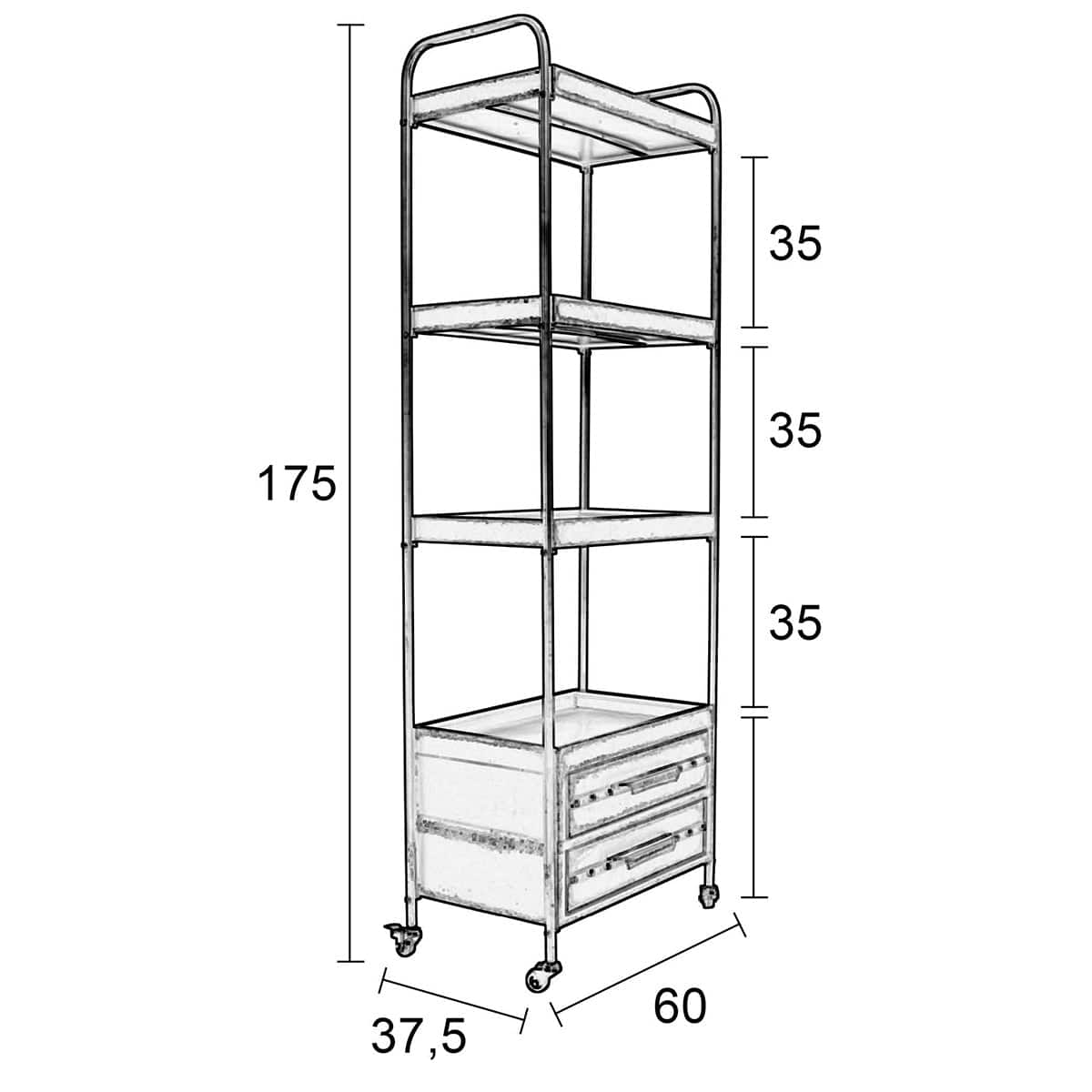 Ryan Shelf