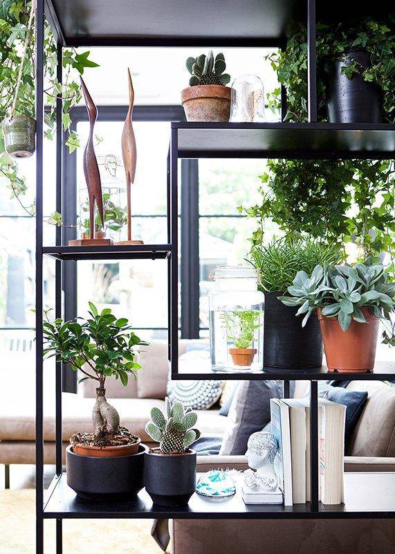 Fons Black Pine Wood Cabinet