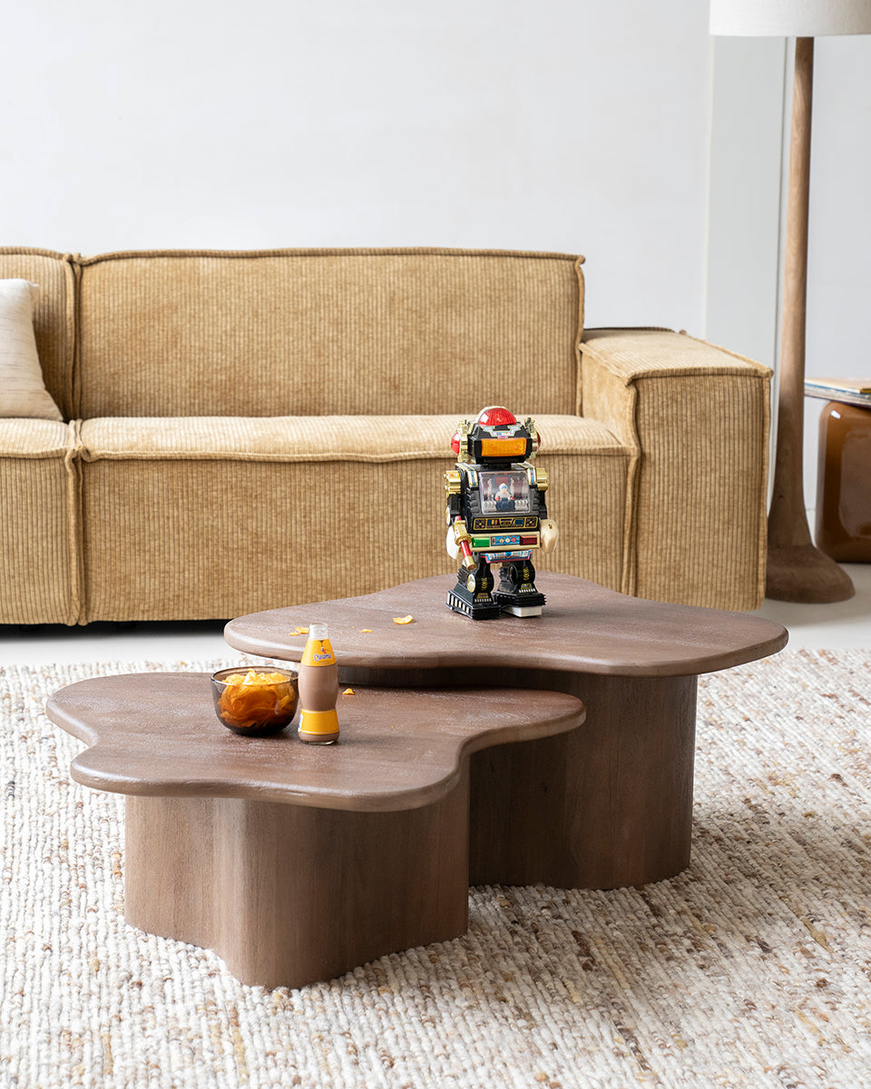 Fall Mango Wood Coffee Table (2/Set)