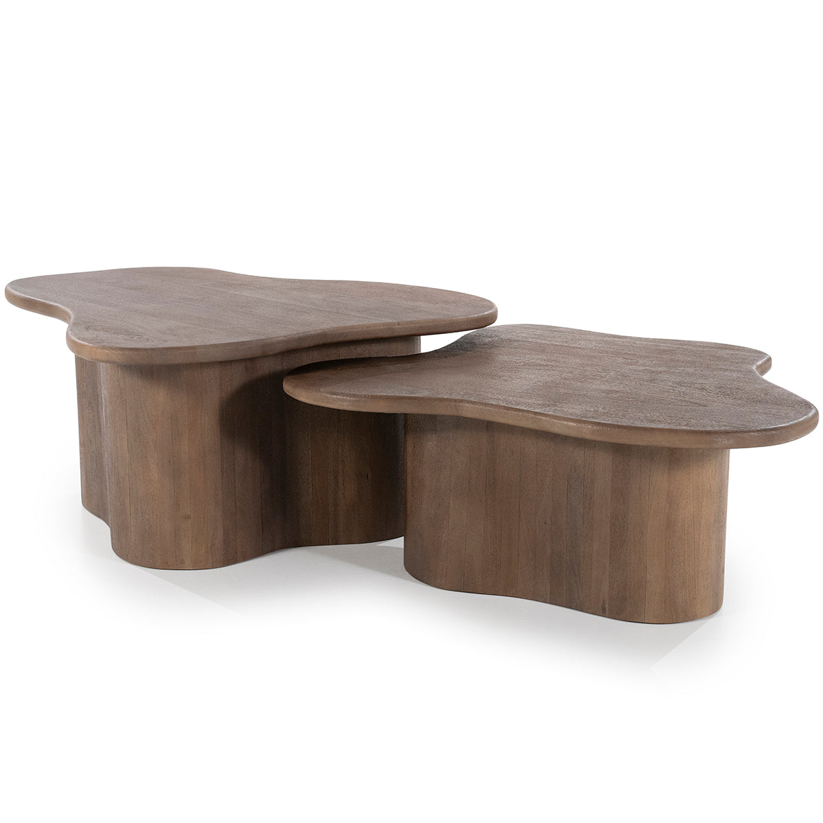 Fall Mango Wood Coffee Table (2/Set)