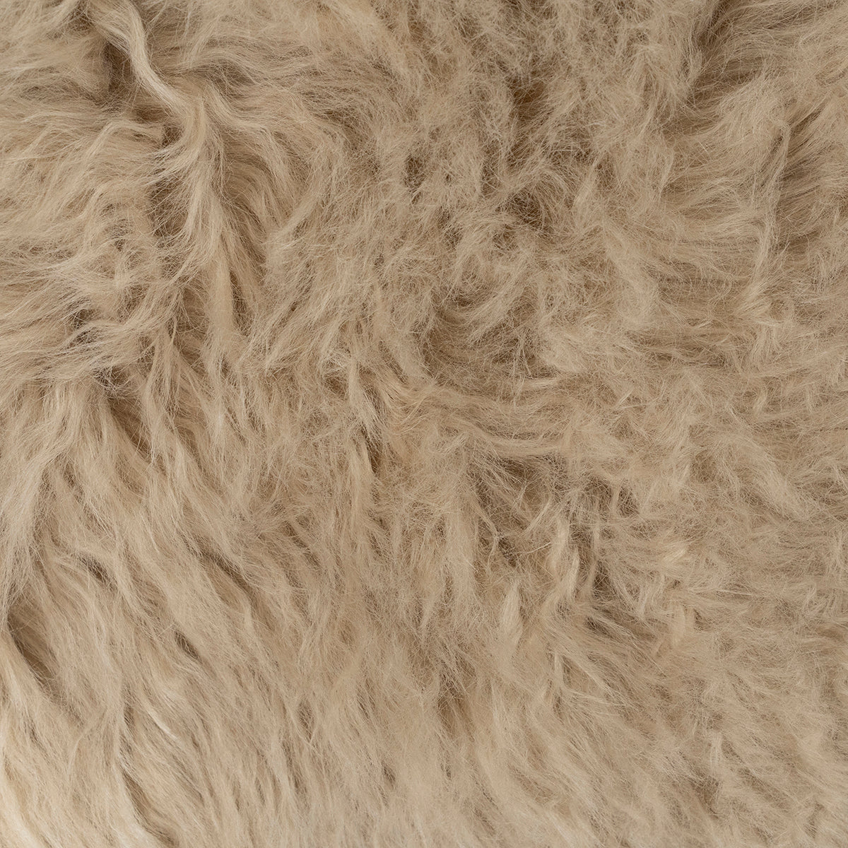 Laska Carpet