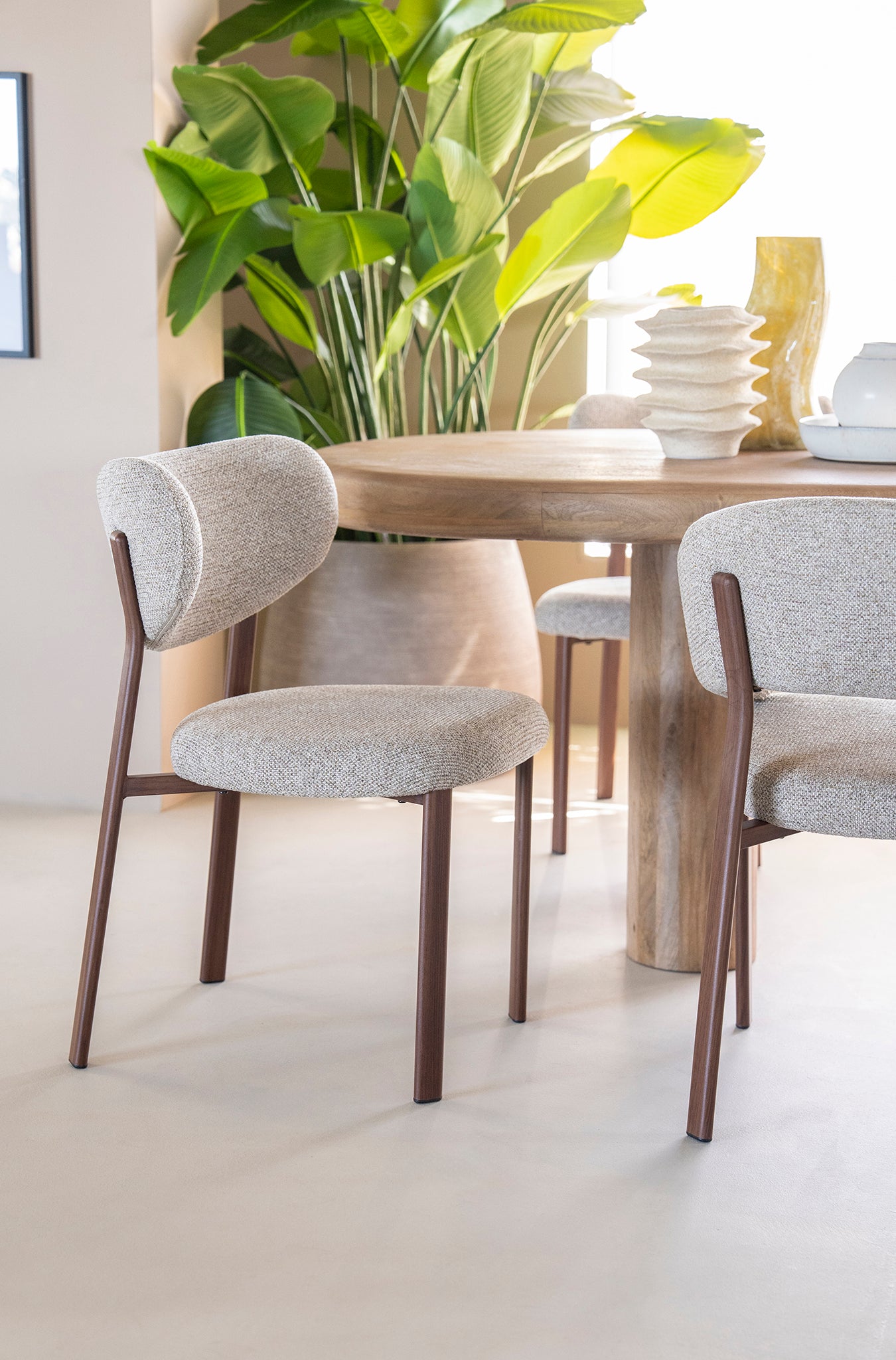 Sedia Luce Chair
