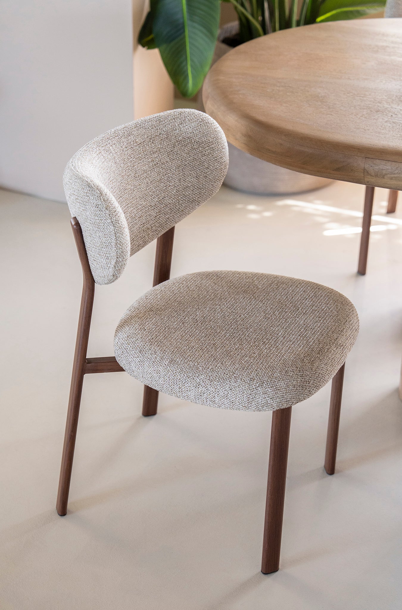 Sedia Luce Chair
