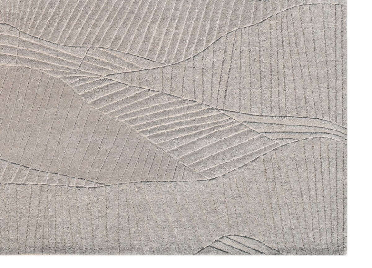 Aris Carpet