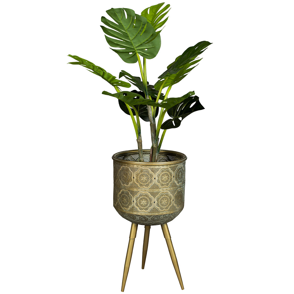 Botanique Plant Stand